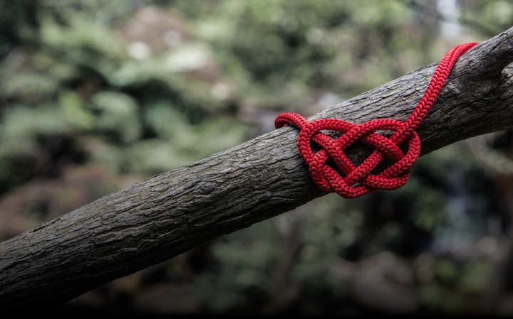 A heart´s impatience			